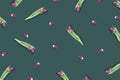 Creative layout pattern with pink flowers and green leaves and tulip flower petals on the pastel green background. Nature Royalty Free Stock Photo